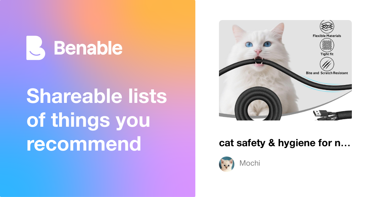 cat safety & hygiene for new kitten parents 🐱