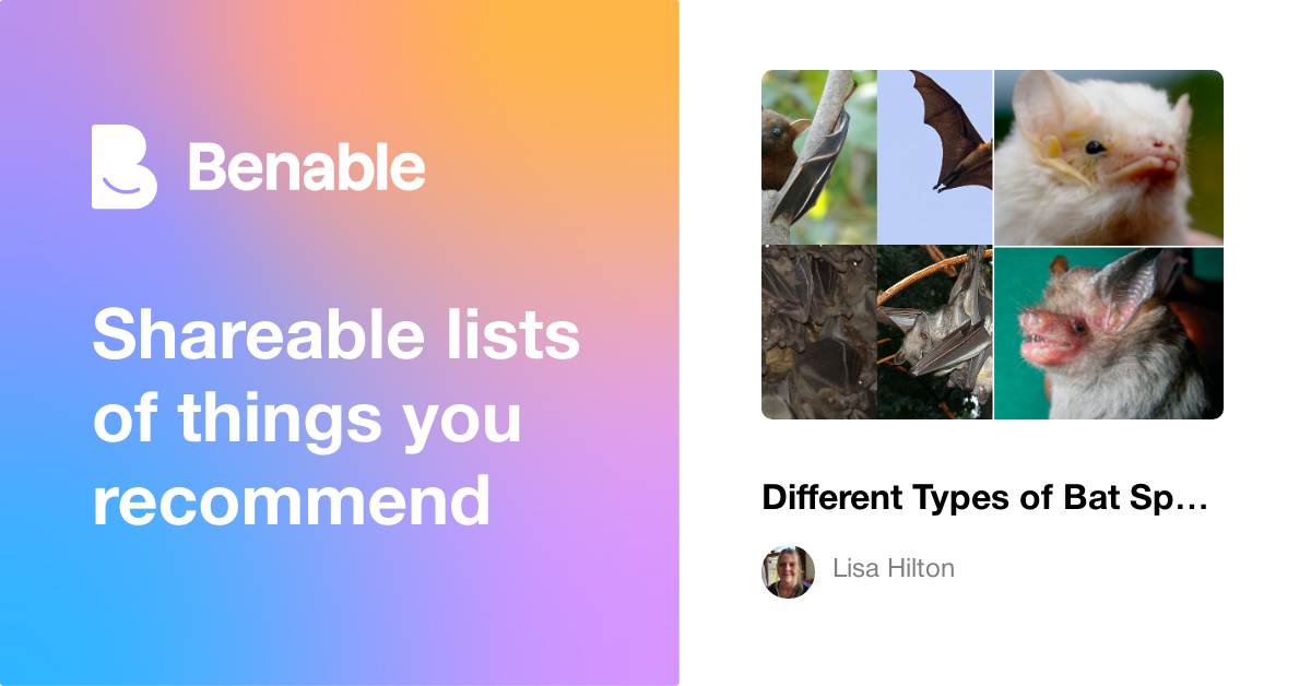 Different Types of Bat Species from Around the World