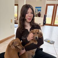 Ziva F profile picture