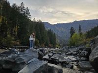 Abby Groh profile picture