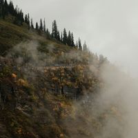 Talia Cruz profile picture