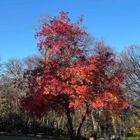 Sarah Lorde profile picture