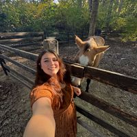 Casey Lynn profile picture