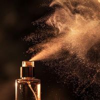 The Scented Witch profile picture