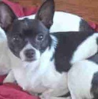 Tanya profile picture