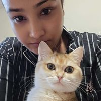 Kanchan Huang profile picture