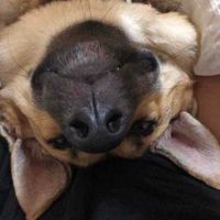 Rikki Lee profile picture