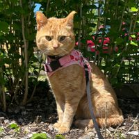 Jessi profile picture