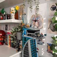 Caitlin Gray profile picture