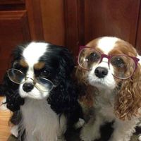 Mar L. profile picture