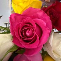 Gabby Johnson profile picture