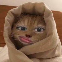 Ambar 🌨️ profile picture