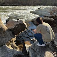 Matt Marandola profile picture