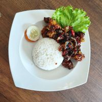 Nucleolus profile picture