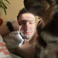 Sebastian Bieniarz profile picture