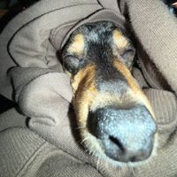 Karolina profile picture