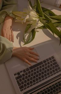 Momiji Space profile picture