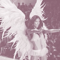 Angelwingsss profile picture