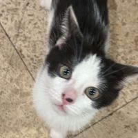 Jules S profile picture