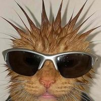 bobbi profile picture