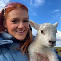 Kerry Williams profile picture