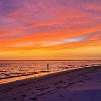 Wandering SWFL profile picture