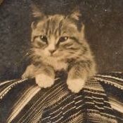 Calcifer profile picture