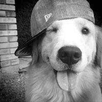 kayla profile picture