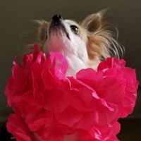 Aubrey Biddle profile picture