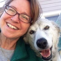 Susan Nilson profile picture