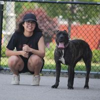 Maria K profile picture