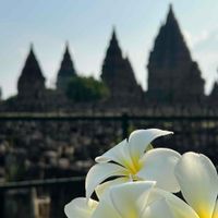 Vibi profile picture