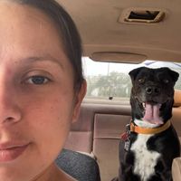 Angel Chacon profile picture