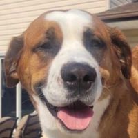 Crystal S profile picture
