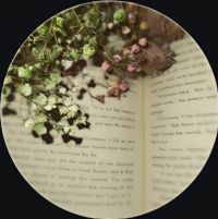 Clean Reads profile picture