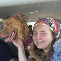 Tara profile picture