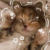 Kalaya ♡ profile picture