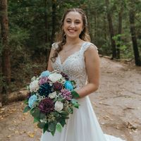 Rachel Meier profile picture