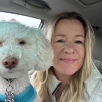 KC Georgulas profile picture