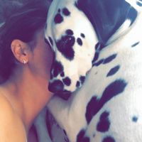 motherof.dalmatians profile picture