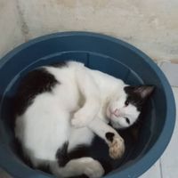 Demeer profile picture