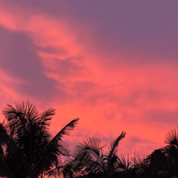 hello video diary profile picture