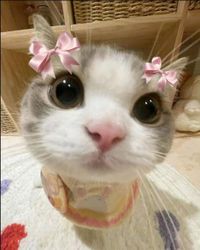 Bianca🎀 profile picture