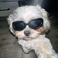 Colby profile picture