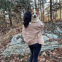 Denise Turrisi profile picture