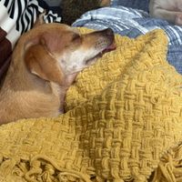 Liana Ordonez profile picture