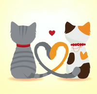 Pitkupit profile picture