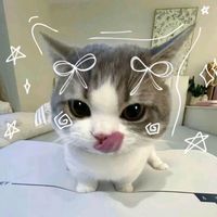 Mariami Labadze profile picture