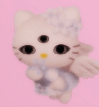 Lyn Coyner profile picture