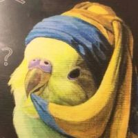 Mari Lomidze profile picture